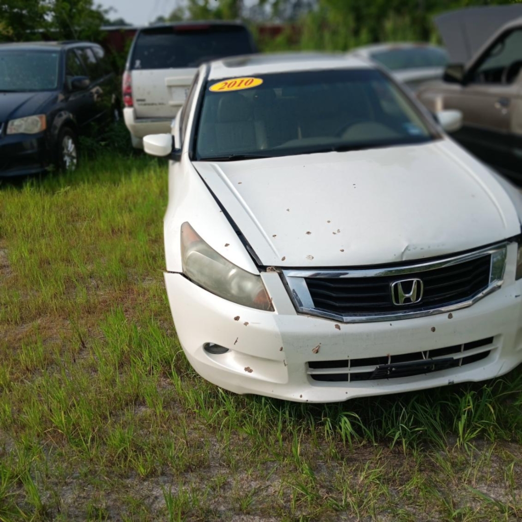 2010 Honda Accord EX-L V6